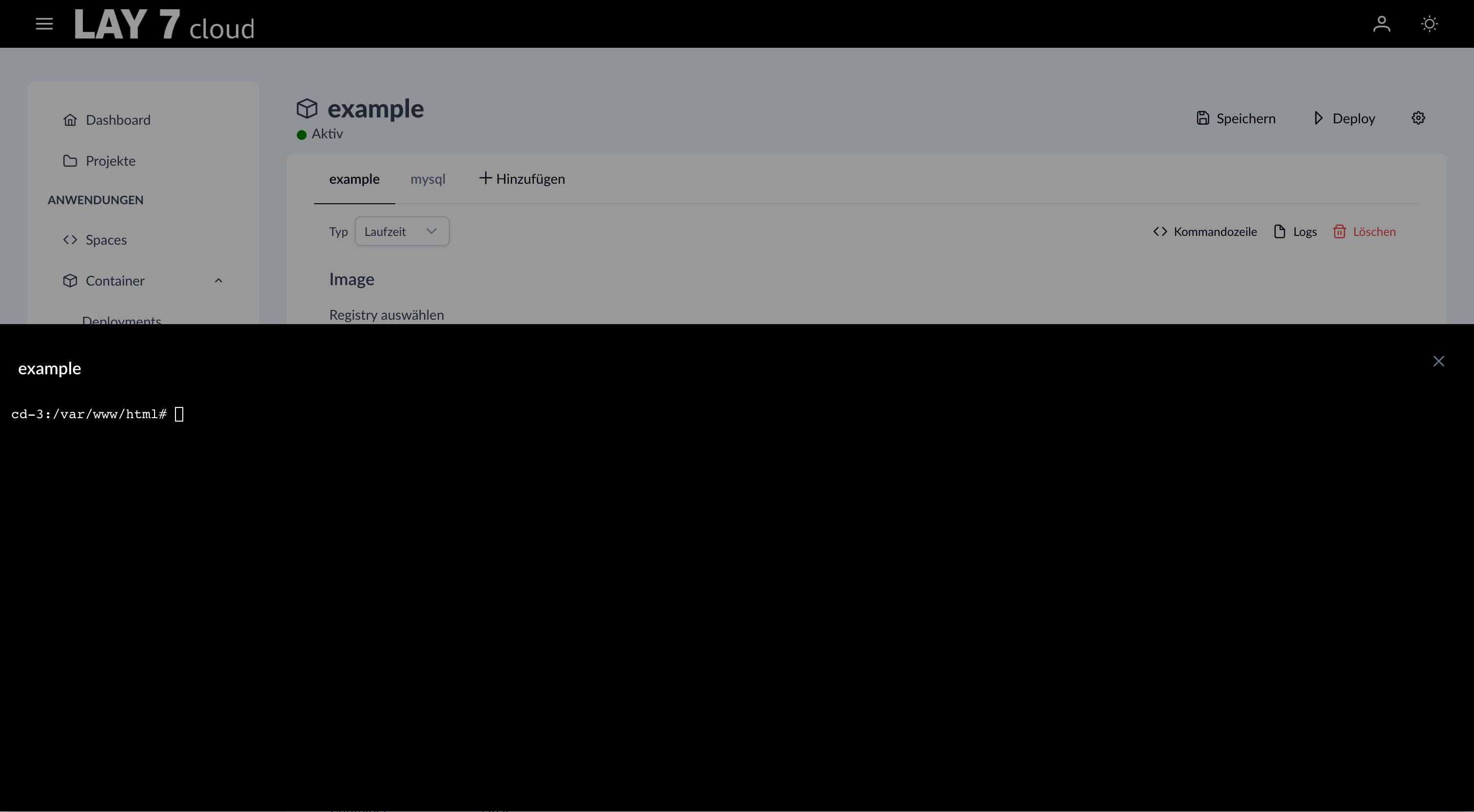 Screenshot of the web console within the browser