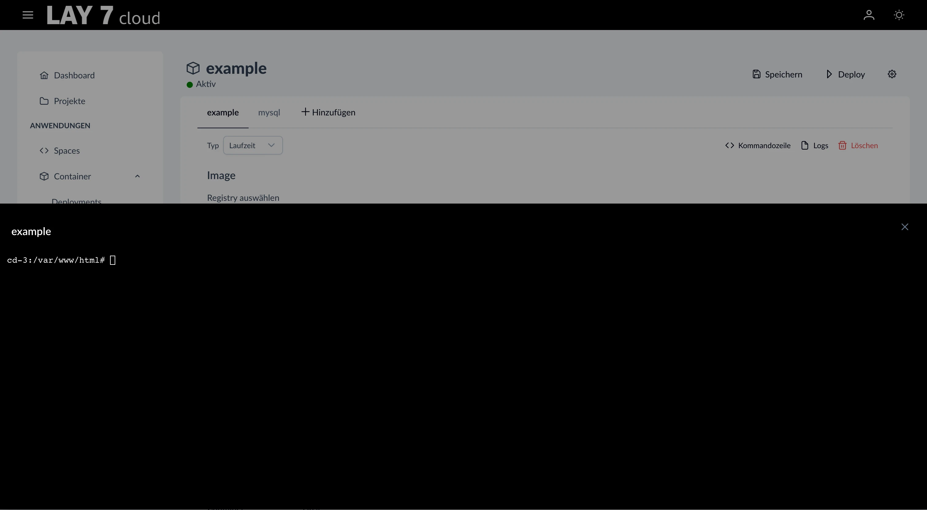 Screenshot of the web console within the browser